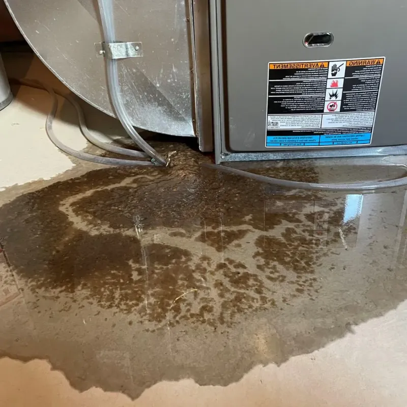 Pipe Burst and Leak Restoration in Manchester, ME